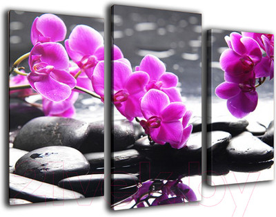 Картина модульная Arthata m-000607 (75х50)