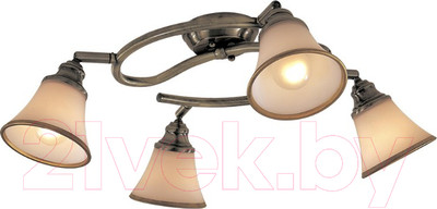 Спот Citilux Прованс CL511143