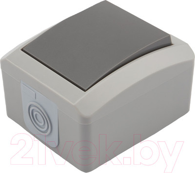 Выключатель Kranz Idustrial / KR-78-0610 (серый)