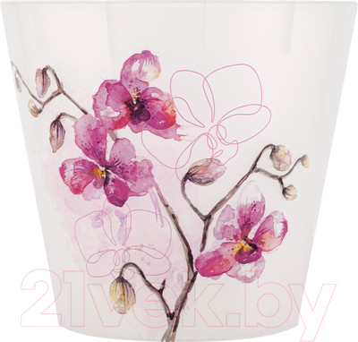 Вазон Ingreen London Orchid Deco / ING6196 ФКС (фуксия)