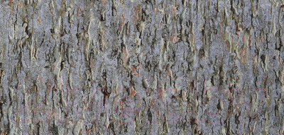 Флизелиновые обои Elysium Форма Е300106