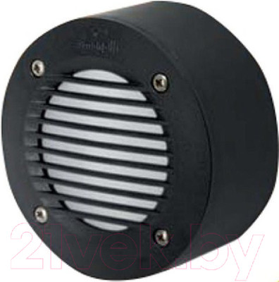Светильник уличный Fumagalli Leti 2S2.000.000.AYG1L