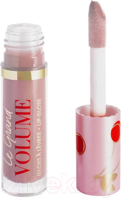 Блеск для губ Vivienne Sabo Le Grand Volume тон 09 Инжир (3мл)