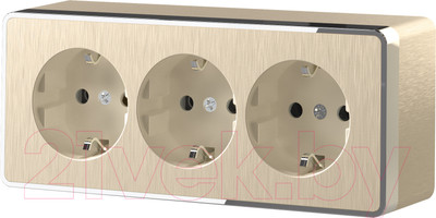 Розетка Werkel Gallant W5073110 / a052594 (шампань рифленый)