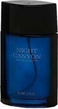 Туалетная вода Real Time Night Canyon Men (100мл)