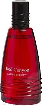 Туалетная вода Real Time Red Canyon Men (100мл)