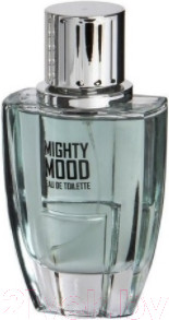 Туалетная вода Linn Young Mighty Mood Men (100мл)