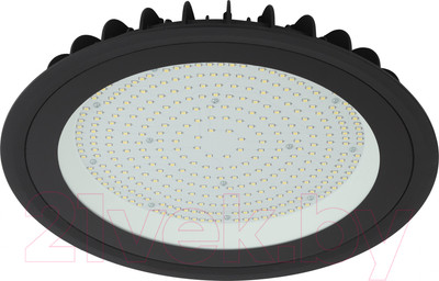 Светильник ЖКХ ЭРА SPP-402-0-50K-200 / Б0046670