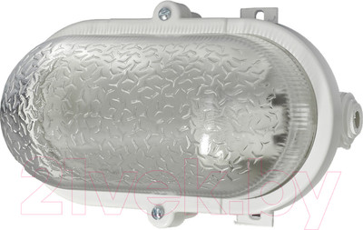 Светильник ЖКХ ЭРА Гранат / Б0052016