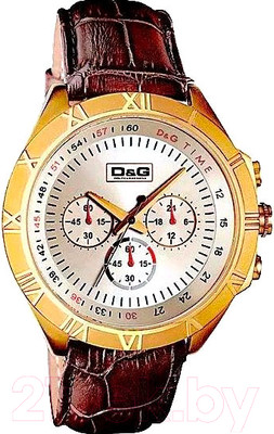 Часы наручные мужские Dolce&Gabbana DW0433