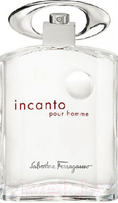Туалетная вода Salvatore Ferragamo Incanto Pour Homme (100мл)