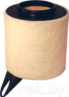 Воздушный фильтр Filtron AK362/3