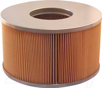 Воздушный фильтр Filtron AM352/3