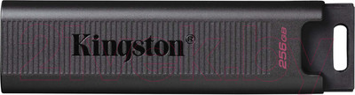 USB flash накопитель Kingston Data Traveler Max 256Gb (DTMAX/256GB)