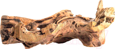 Ваза Merry Bear Home Decor CF19173