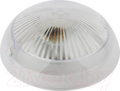 Светильник ЖКХ ЭРА Сириус НБП 06-60-001 / Б0048029