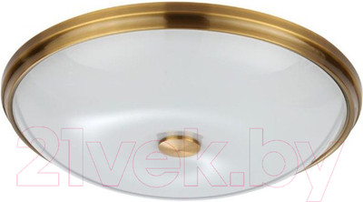 Потолочный светильник Odeon Light Pellow 4956/5