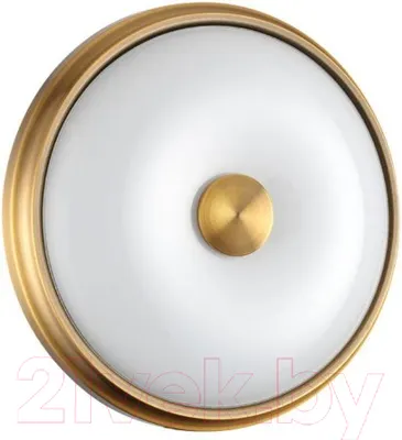 Потолочный светильник Odeon Light Pellow 4956/2