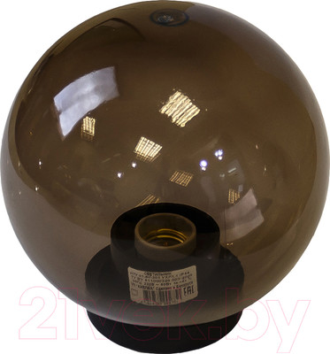 Светильник уличный ЭРА НТУ 01-60-205 / Б0048065 (дымчатый)