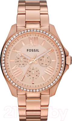 Часы наручные женские Fossil AM4483