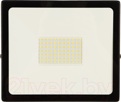 Прожектор SmartBuy SBL-FLLight-100-65K
