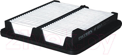 Воздушный фильтр Filtron AP103/1