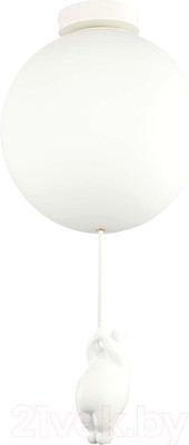 Потолочный светильник Evoluce SLE115412-01