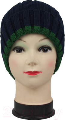 Шапка детская Polesie 8С0530-Д43 (синий, р. 53)