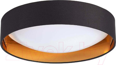 Потолочный светильник Evoluce Orbio SLE201102-01