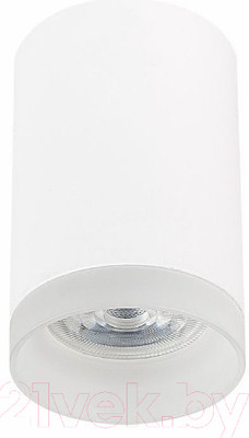 Потолочный светильник ST Luce ST100.502.01