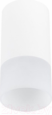 Потолочный светильник ST Luce ST100.512.01