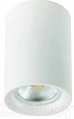 Потолочный светильник ST Luce ST114.507.01