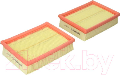 Комплект воздушных фильтров Filtron AP149/2-2x