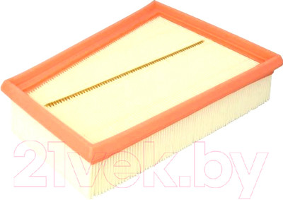 Воздушный фильтр Filtron AP185/2