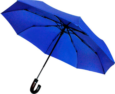 Зонт складной SunShine Конгресс 8005.03