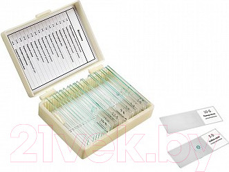 Набор микропрепаратов Микромед Ботаника / 22748