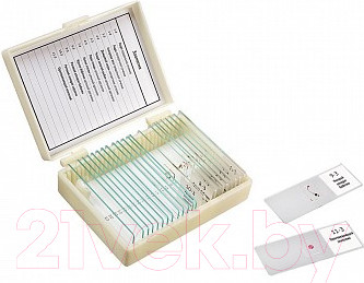 Набор микропрепаратов Микромед Зоология / 22749