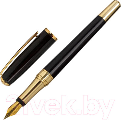 Ручка перьевая имиджевая Galant Ludus / 143529