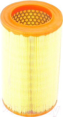 Воздушный фильтр Filtron AR234/4