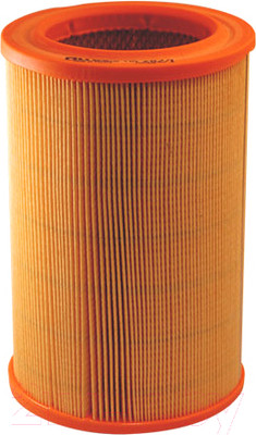 Воздушный фильтр Filtron AR282/1