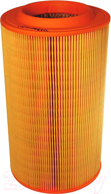 Воздушный фильтр Filtron AR316/1