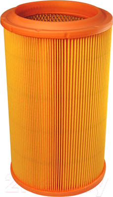 Воздушный фильтр Filtron AR318/1