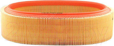 Воздушный фильтр Filtron AR131/1