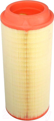 Воздушный фильтр Filtron AR200/4