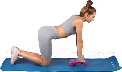 Ролик для пресса Indigo Sport IN302 (розовый/серый)