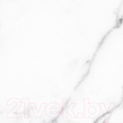 Плитка ProGres Bianco 731200 (450x450)