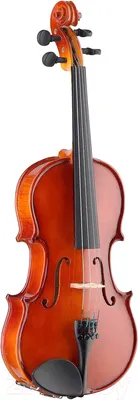Скрипка Stagg VN-1/2 (со смычком и канифолью)