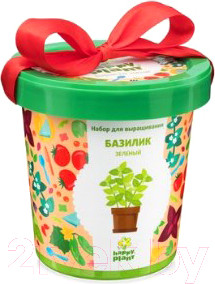 Набор для выращивания растений Happy Plant Базилик зеленый / hpn-14