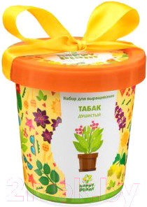 Набор для выращивания растений Happy Plant Табак душистый / hpn-11
