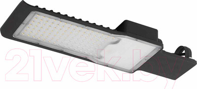 Светильник уличный ЭРА SPP-503-0-50K-030 / Б0043666